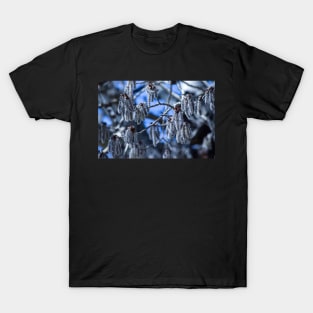 Frosted Buds on a Tree. T-Shirt